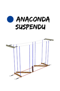 Anaconda suspendu